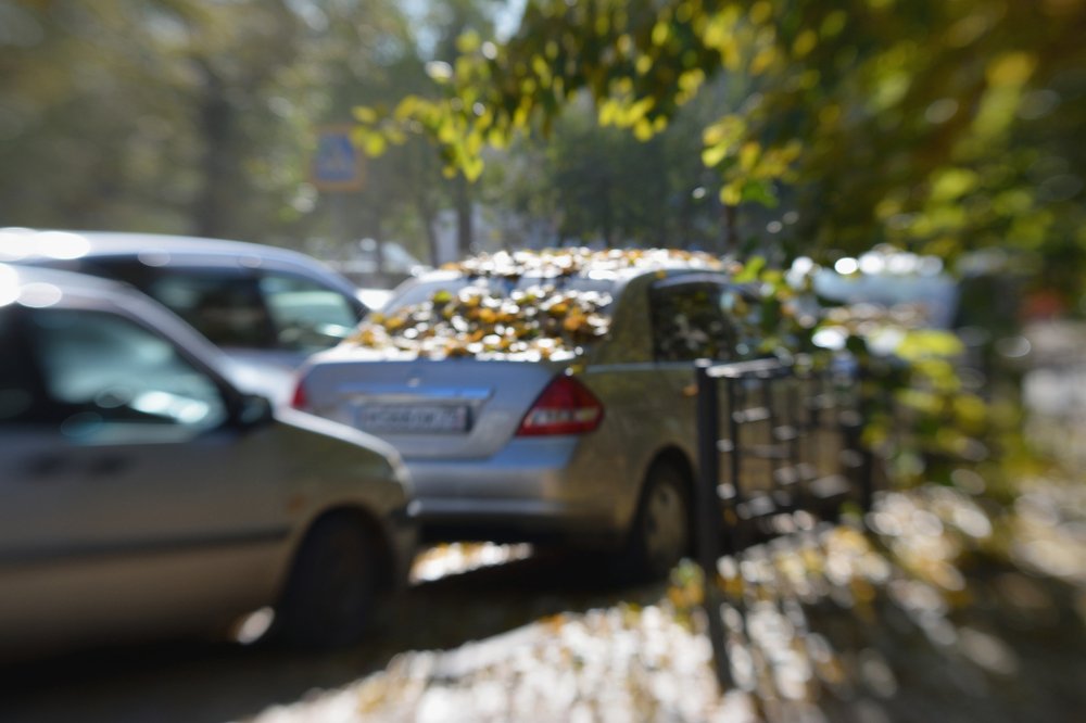 Photograph by Tatyana