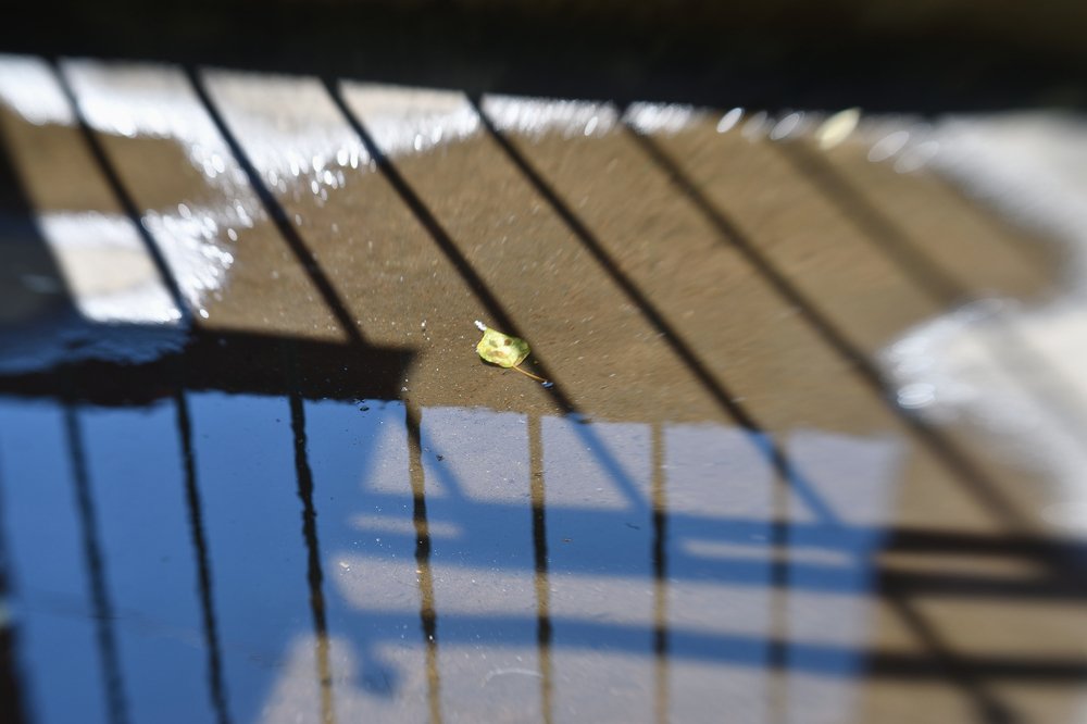 Photograph by Tatyana