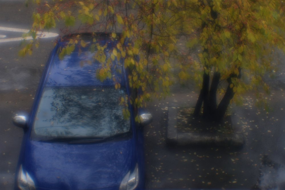 Photograph by Tatyana