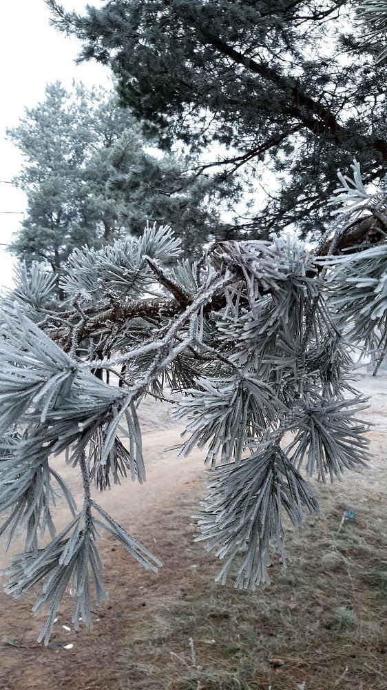 Photograph by Марийона Савоненко