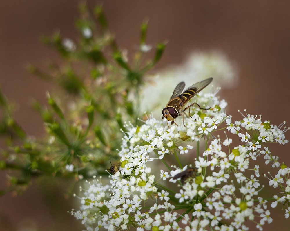 Photograph by Евгений Михеев