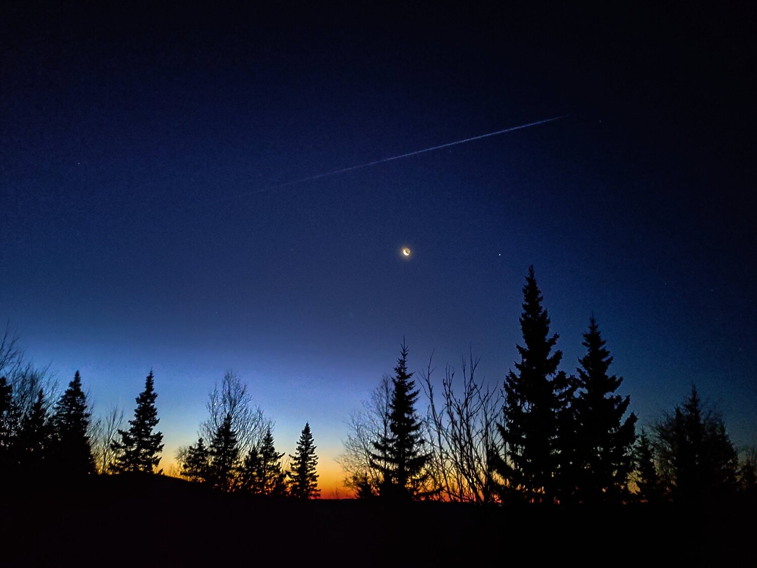 Photo #5461114