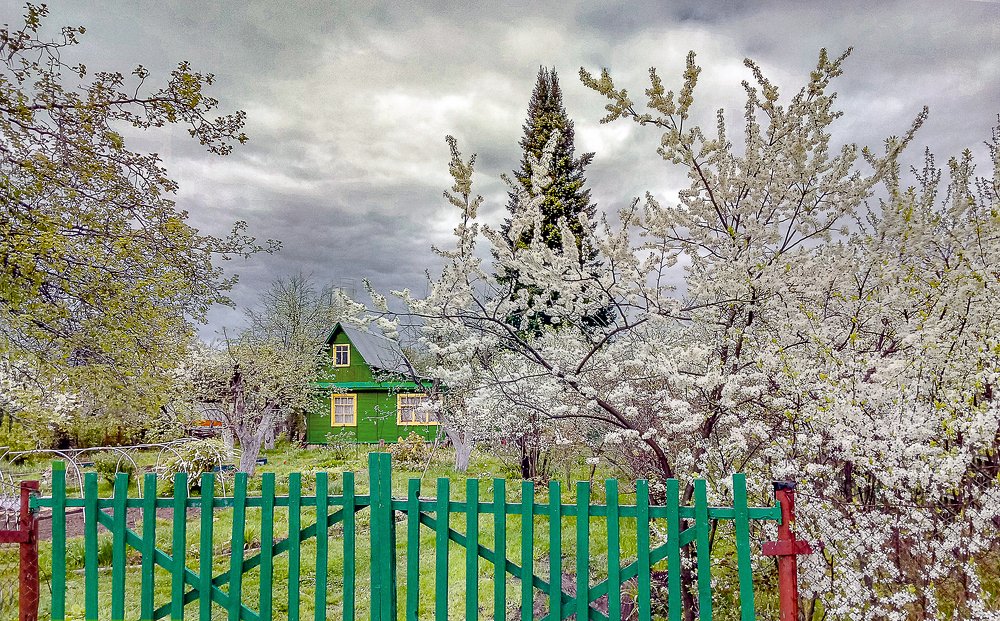 Photograph by Ilуа Chirkov