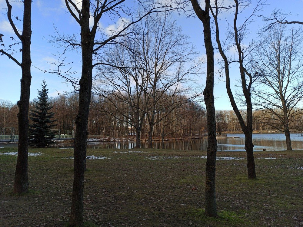 Photograph by Елена Никитюк