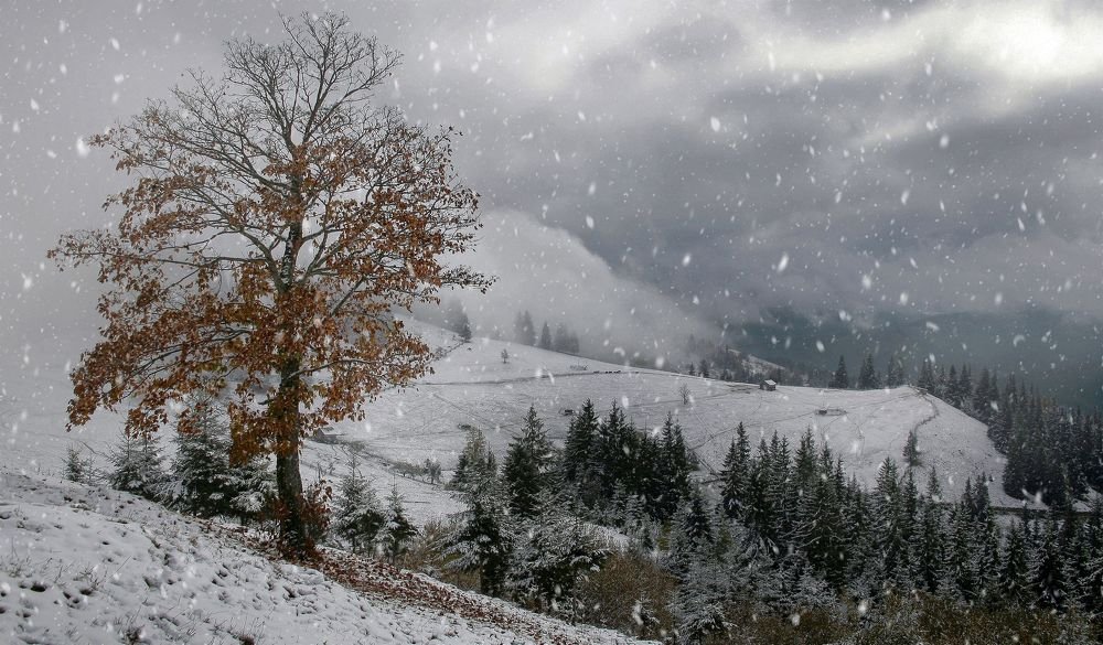 Фотография автора Милокост Алексей