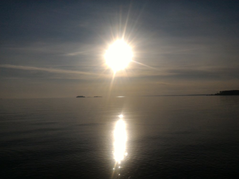 Photo #5461202