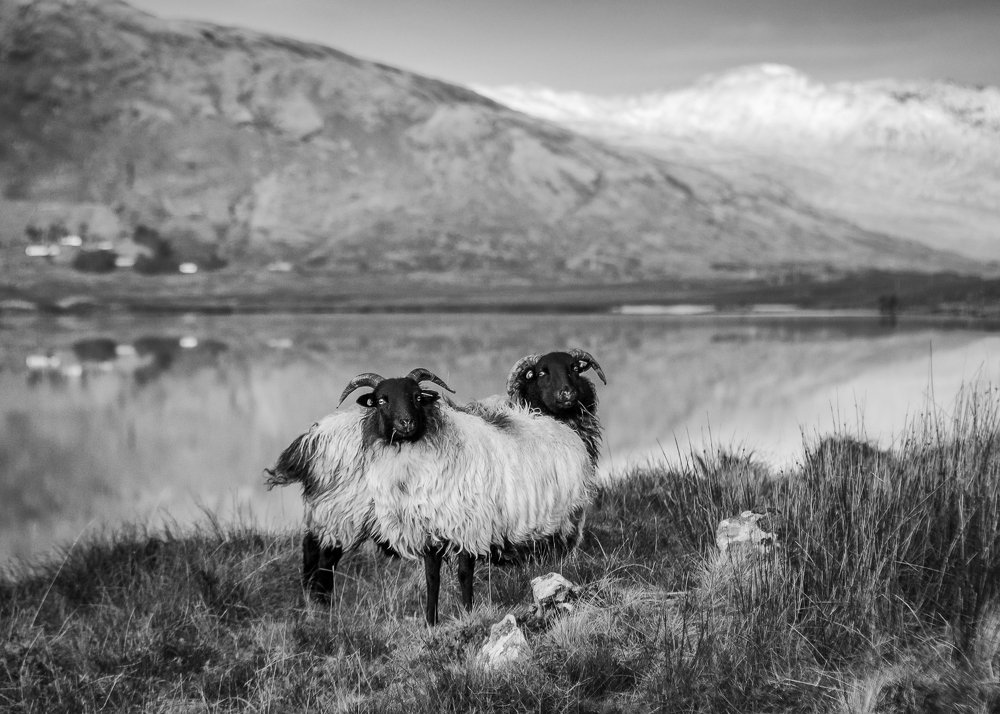 Photograph by Anatoly Chomko