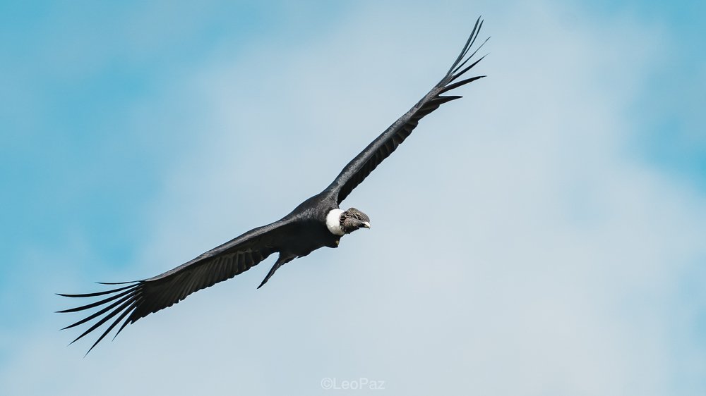 Photograph by Leonardo Paz