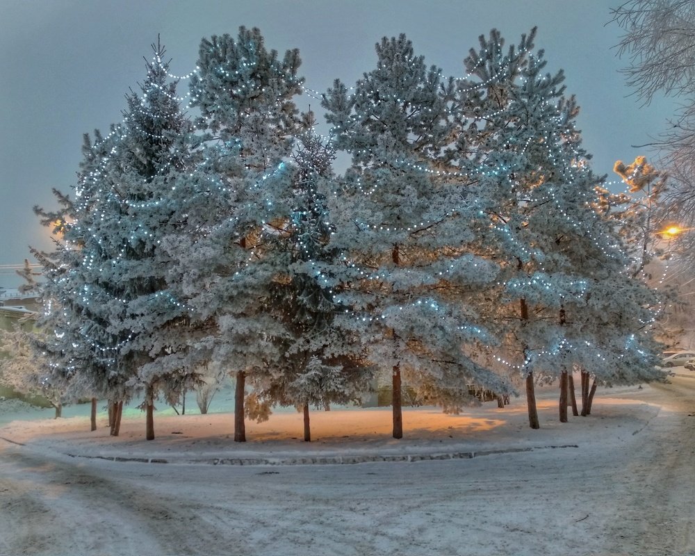 Photograph by Татьяна Чухина