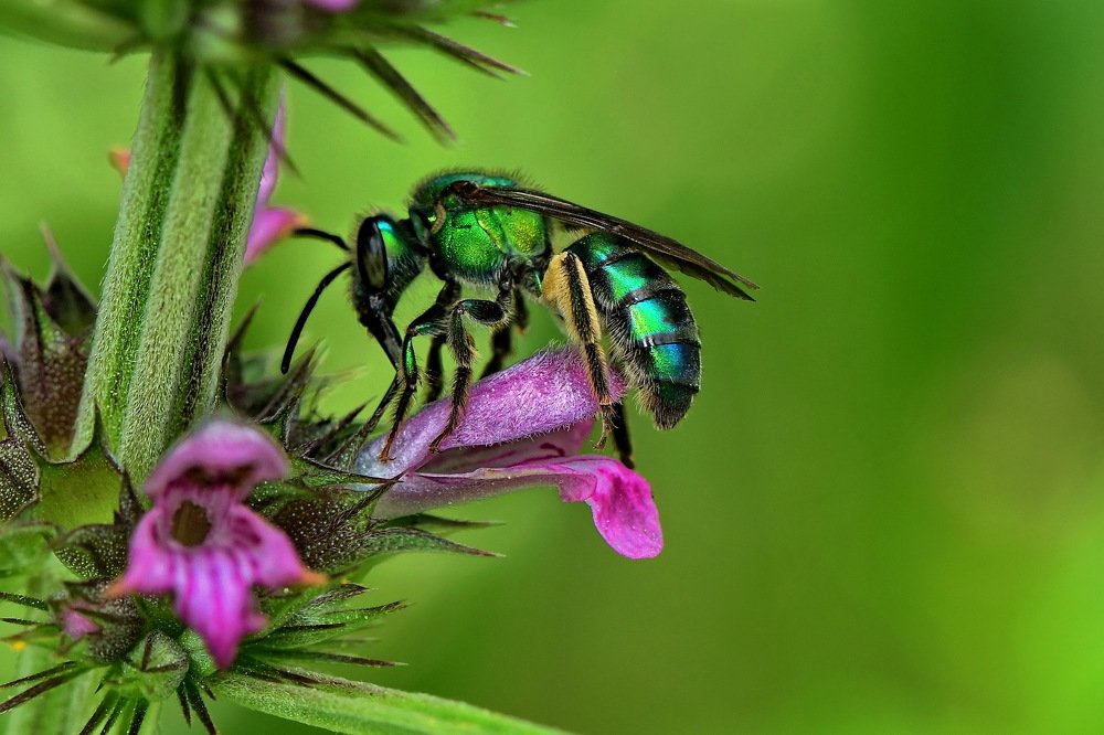 Photograph by Moura Denis