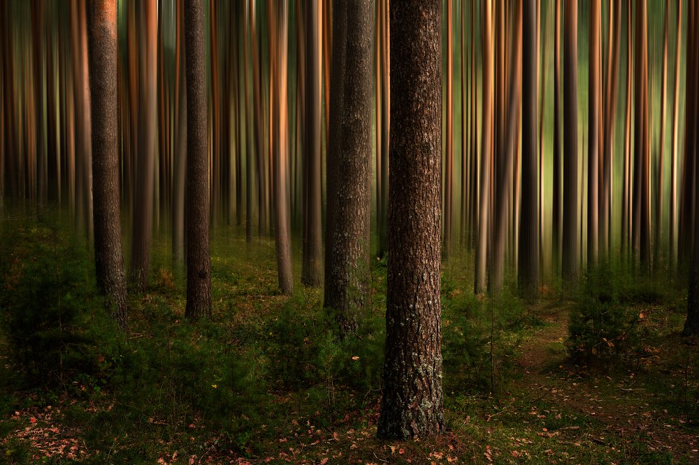 Photograph by Oscar Lata