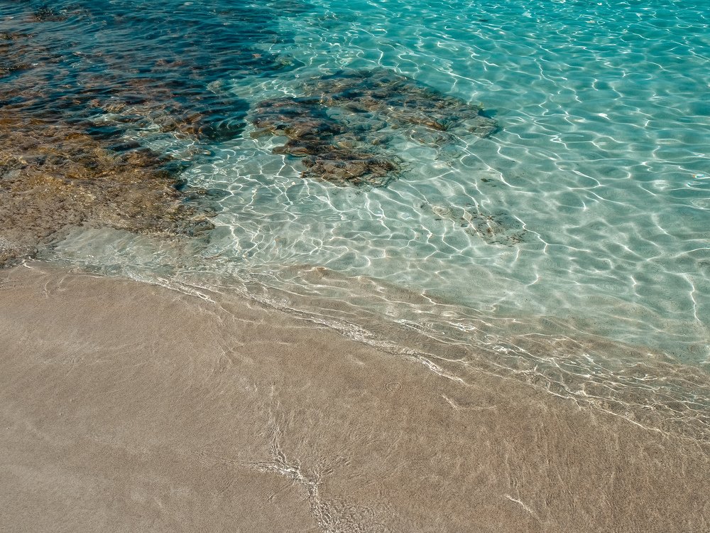 Photograph by Арина Стрябчева