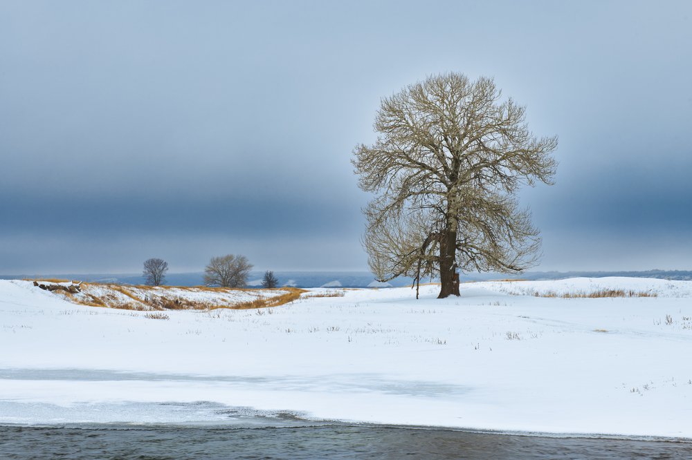 Photograph by Роман Врубель