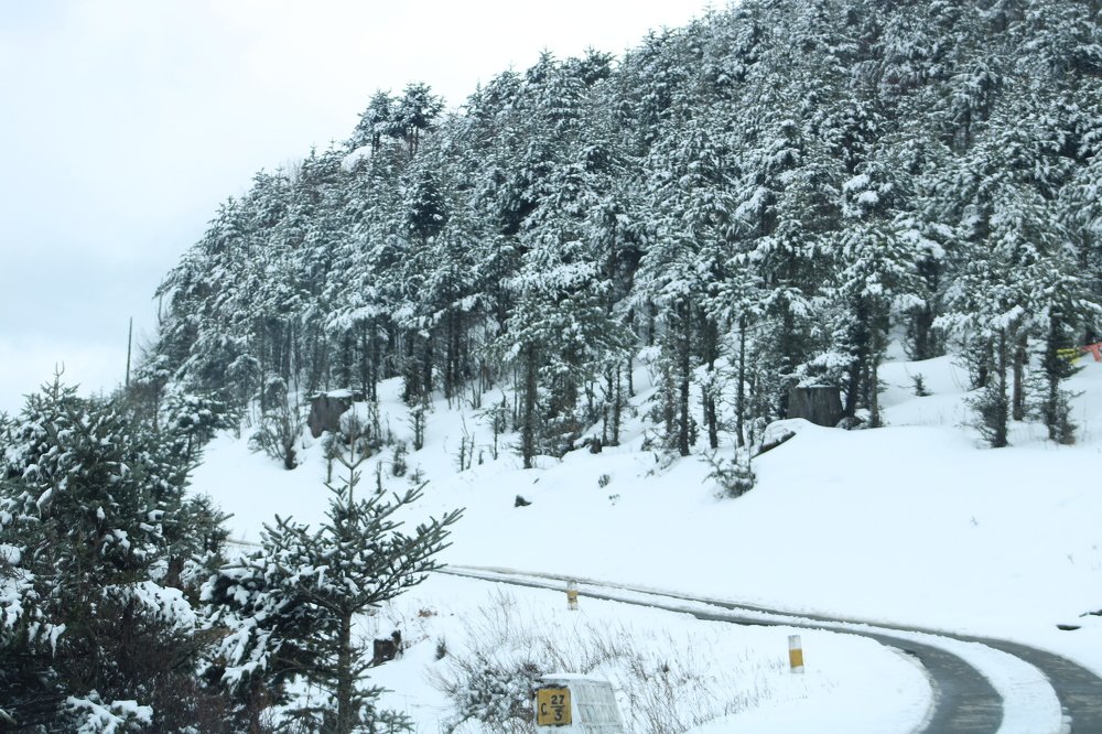 Photograph by Phatta Singh Ghalley