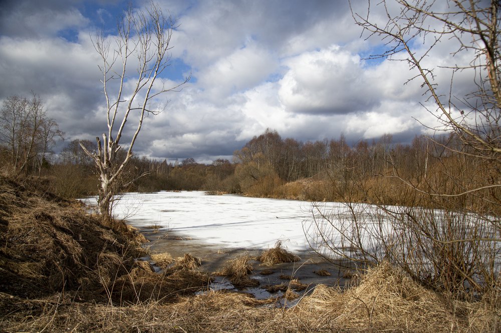 Photograph by Андрей Шаронов