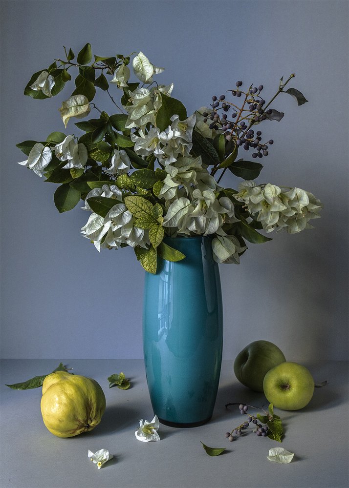 Photograph by Kate Goula