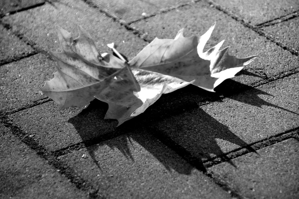 Photograph by Vitalii Kaznin