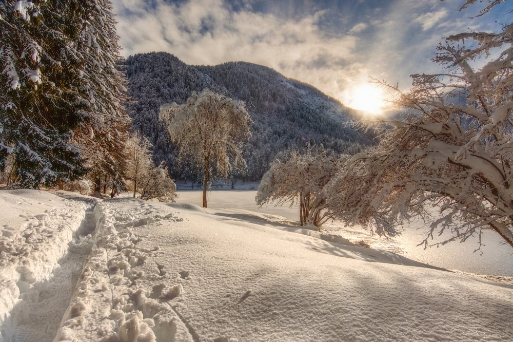 Photograph by Sara Jazbar