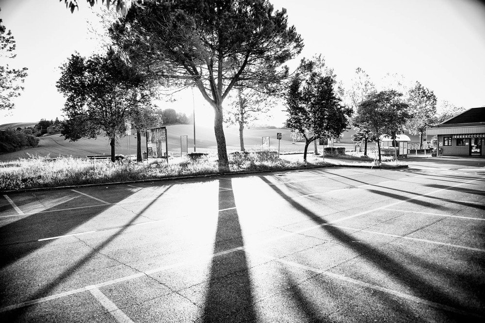 The Sun Behind The Trees