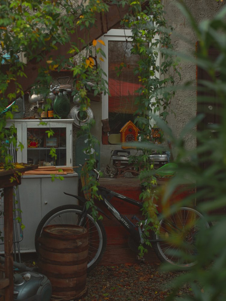 Photograph by Nadezhda Stoliarova