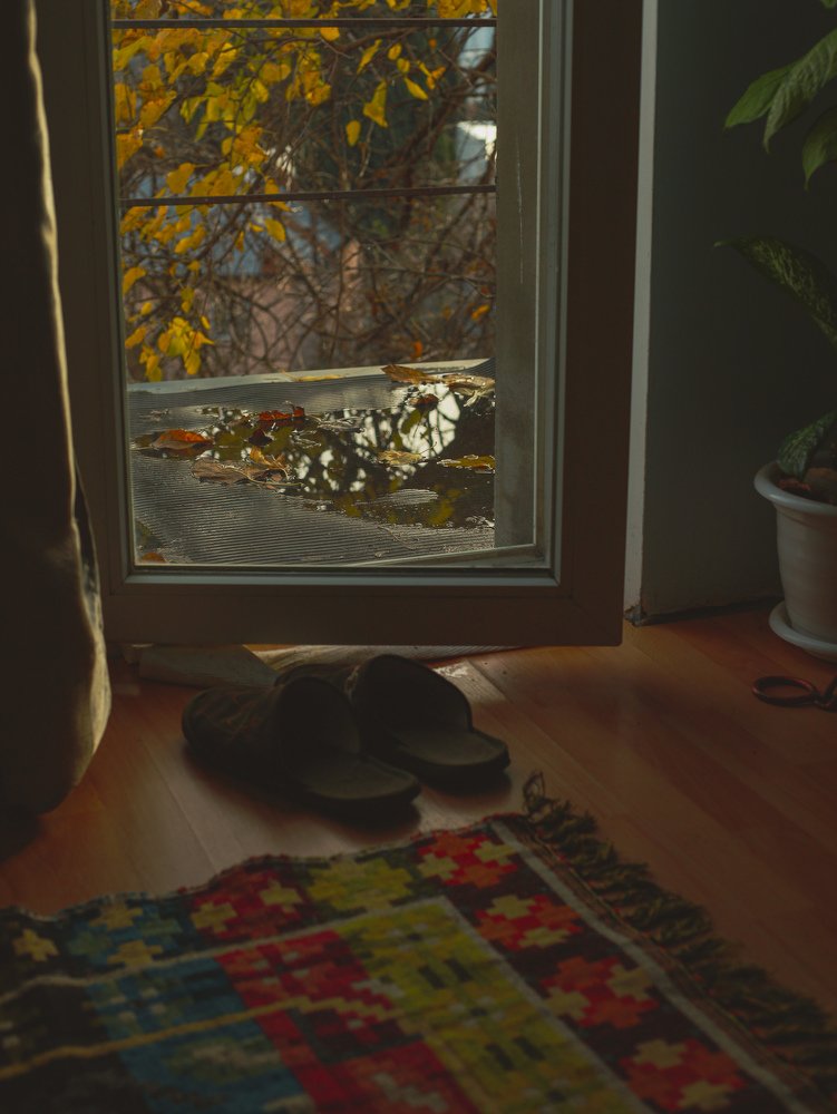 Photograph by Nadezhda Stoliarova