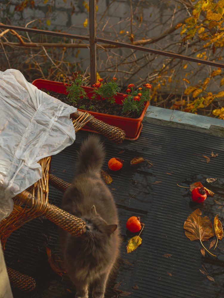 Photograph by Nadezhda Stoliarova