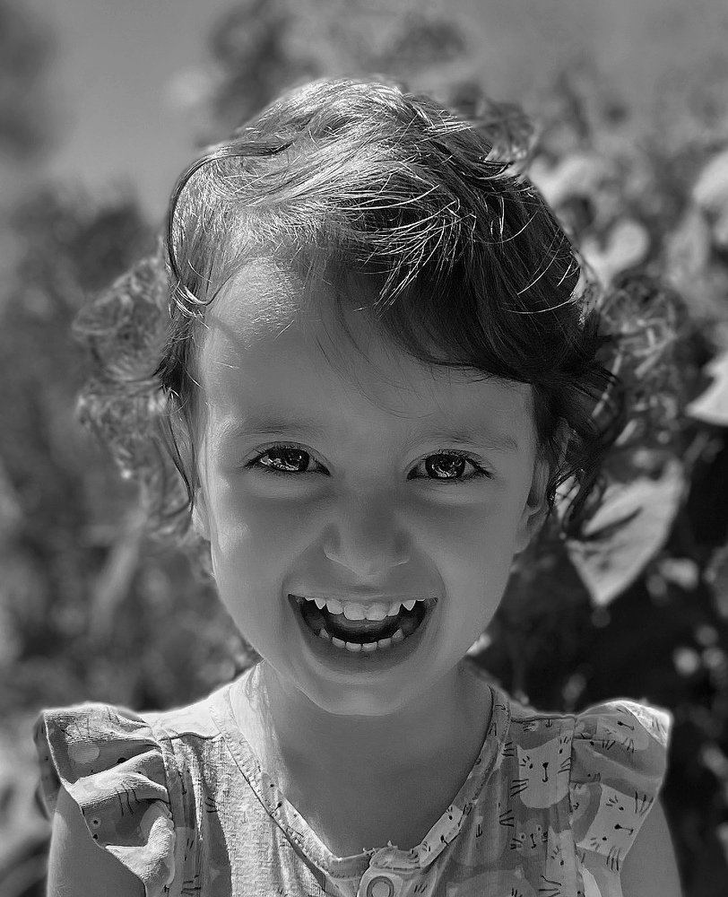 Фотография автора Hamidreza Saedi