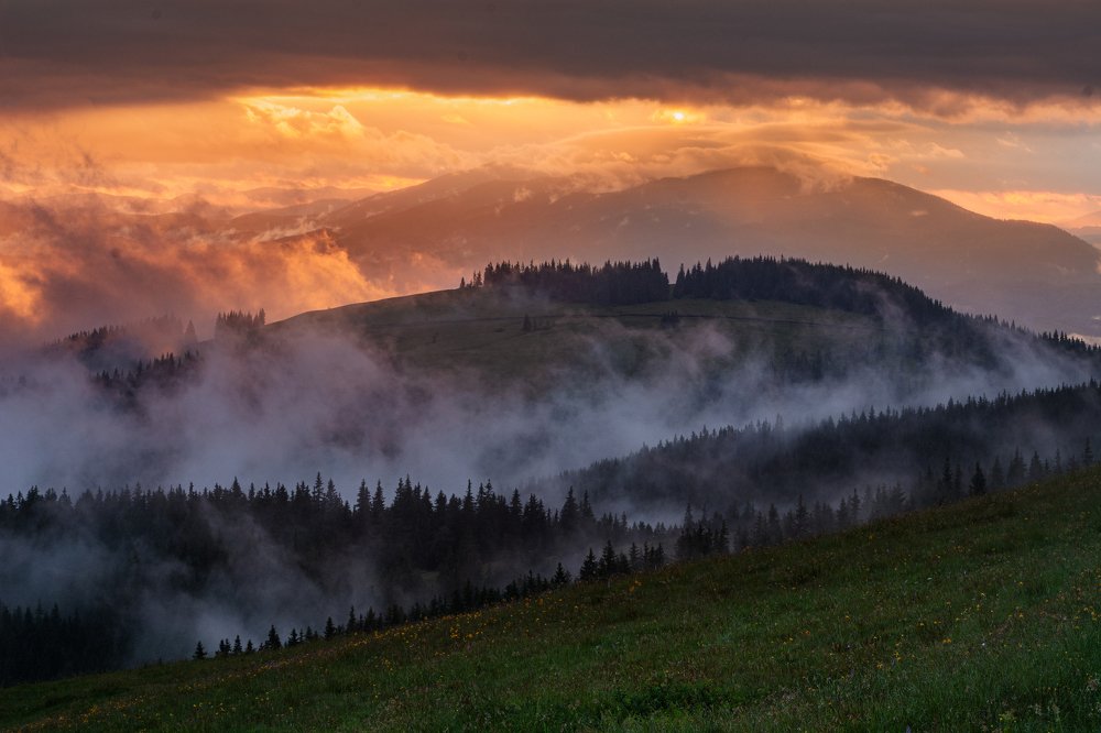 Photograph by Сергій Радчук