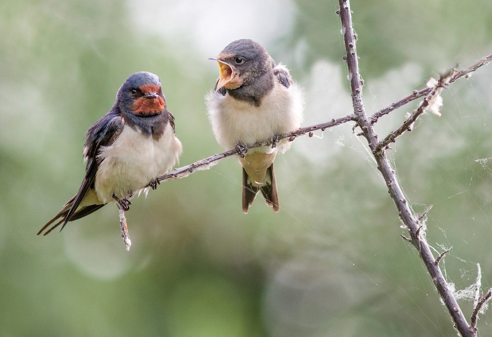 Photograph by Александр