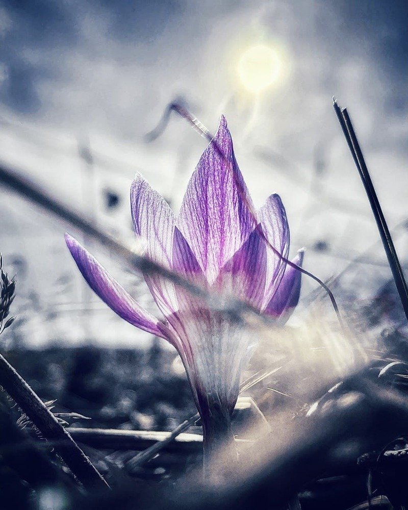 Photograph by Александр Арасланов