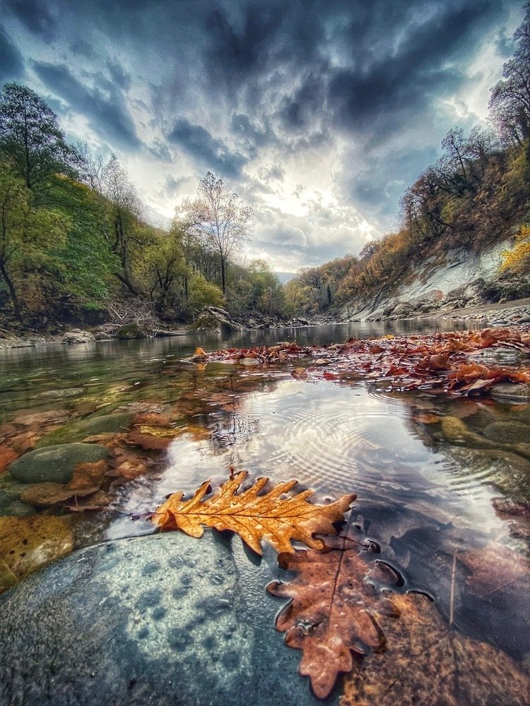 Photograph by Александр Арасланов