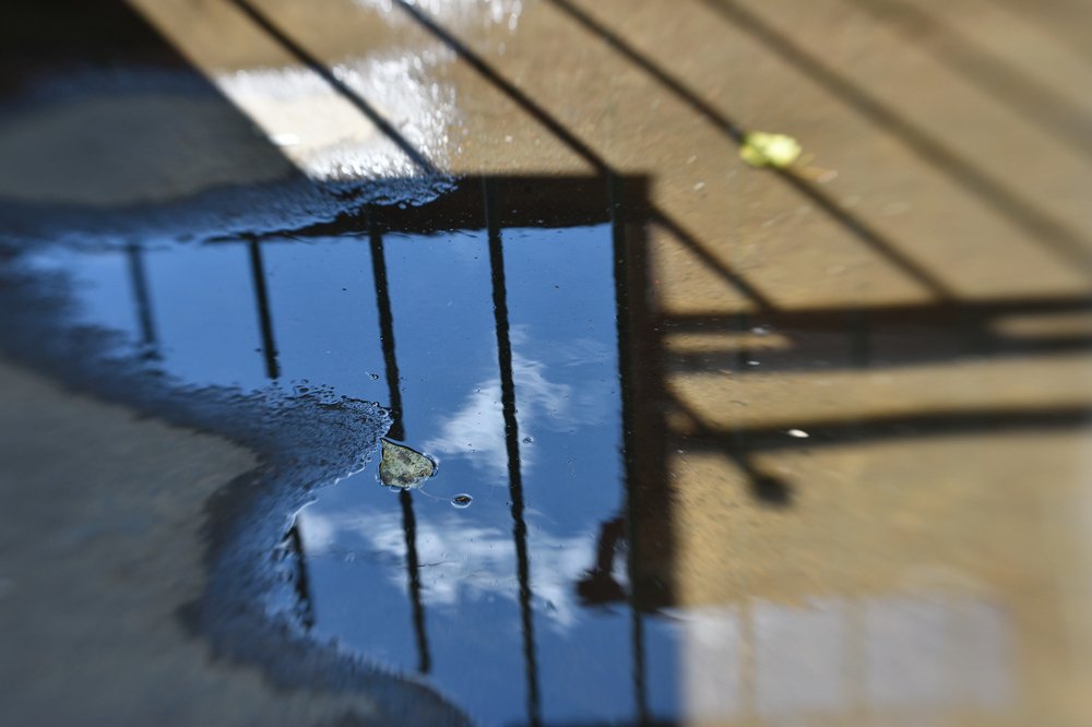 Photograph by Tatyana