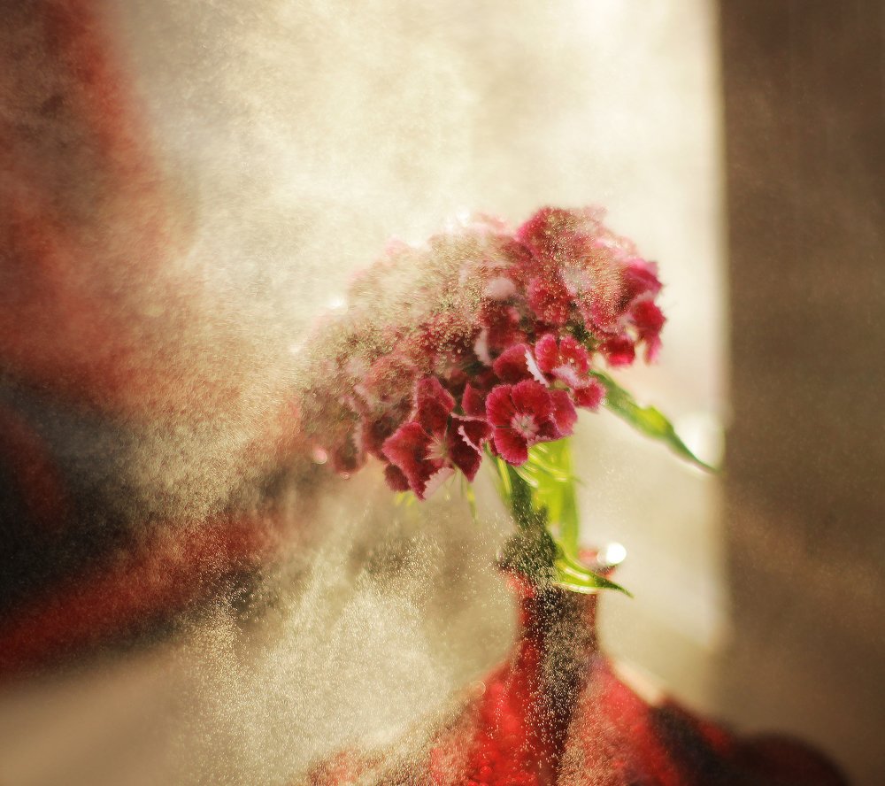 Photograph by Александра Пургаева