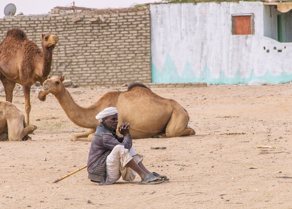 Фотография автора Sherine El Mously