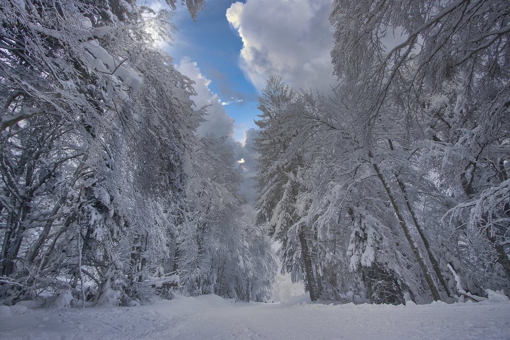 Photograph by Brigitte B