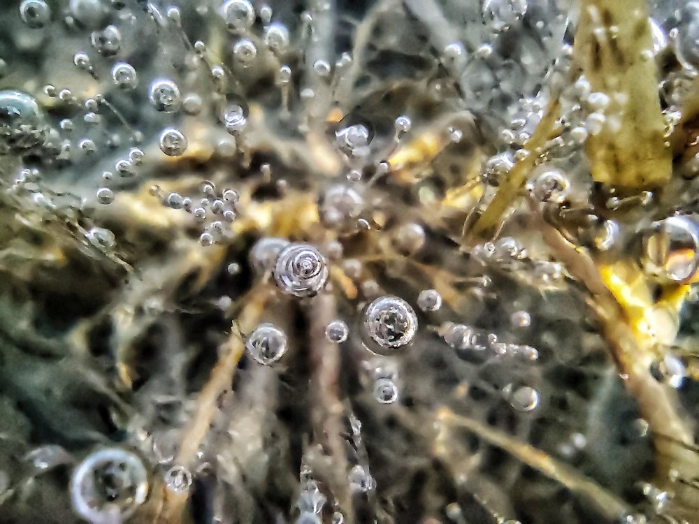 Photograph by Владимир Караман