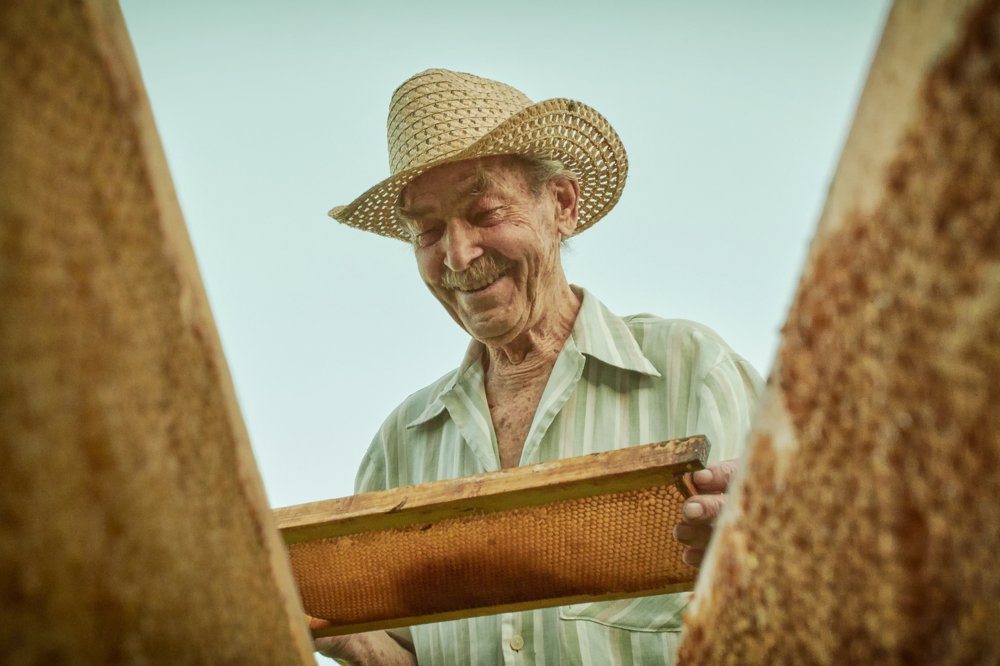 Фотография автора Елена Берсенева