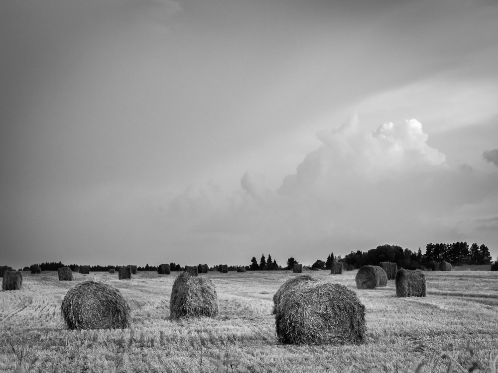 Photograph by Sergey