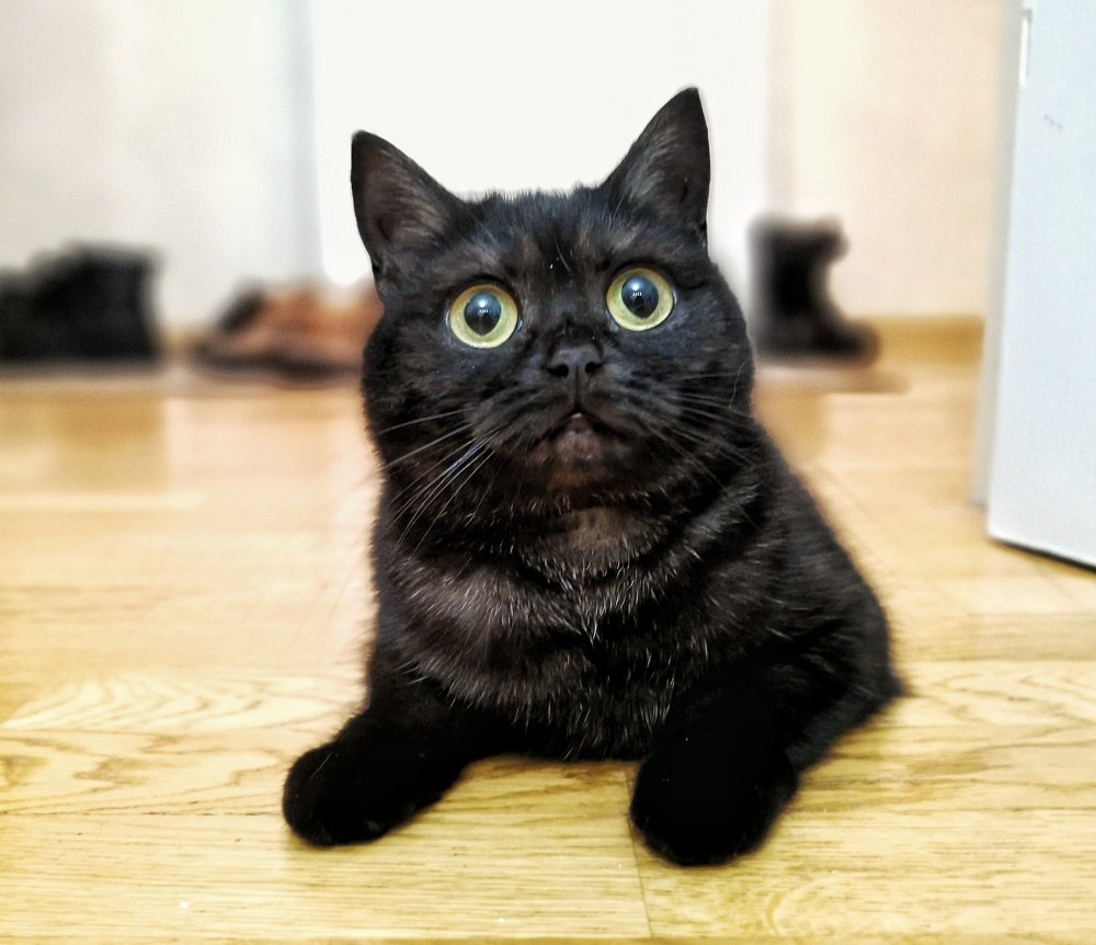 Photograph by Инна Соловей