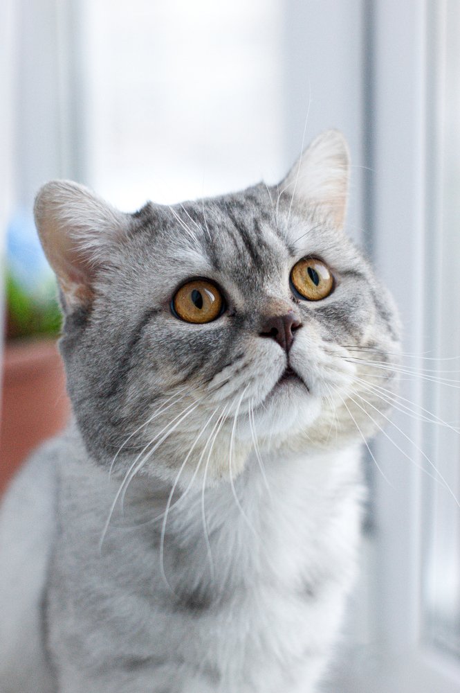 Photograph by Инна Соловей