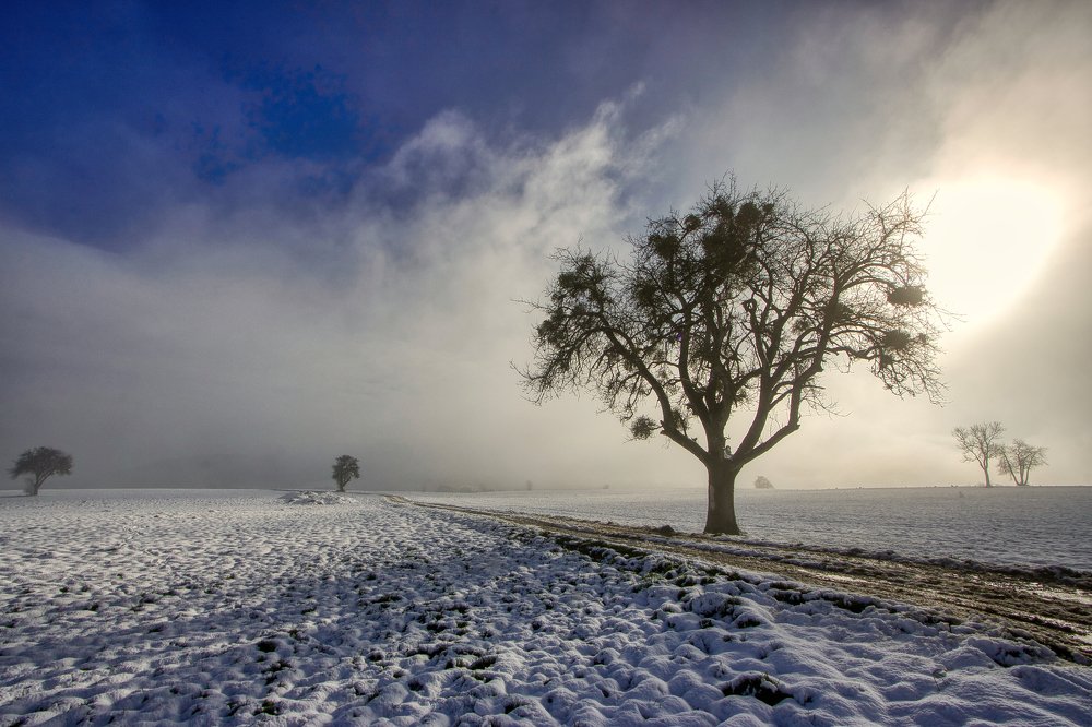 Photograph by Brigitte B