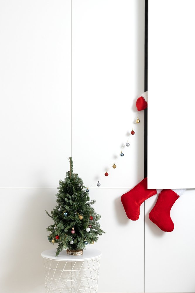 The thief of the Christmas tree / Похититель новогодней ёлки