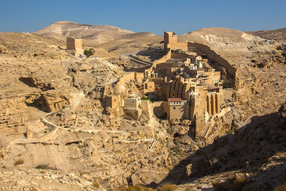 Фотография автора Marina Starovoyt