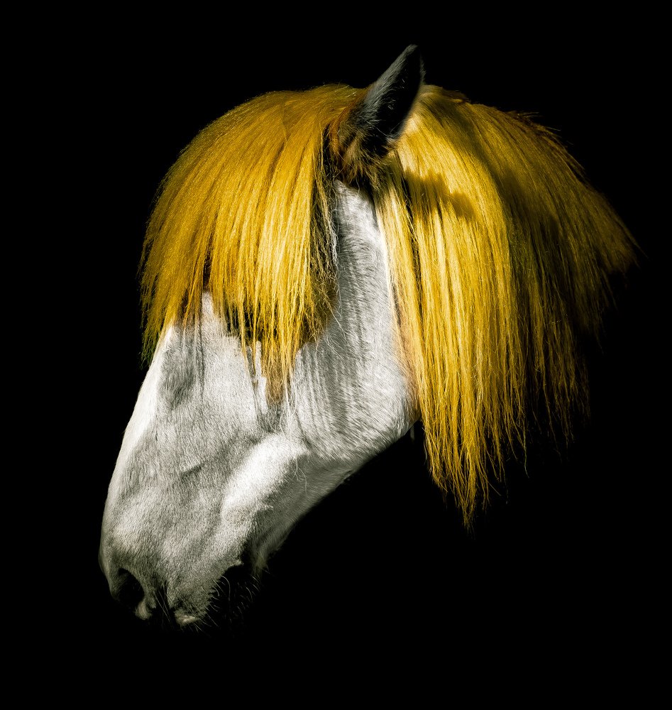 Photograph by Lubos Vojtech