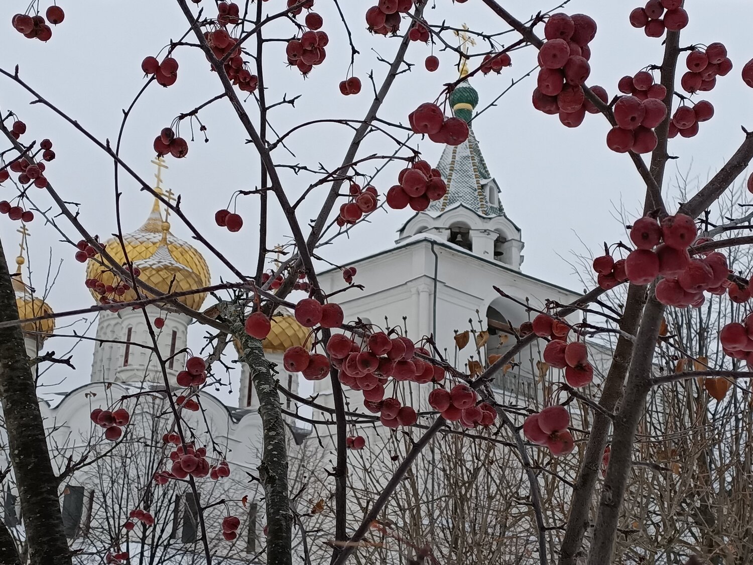 Photo #5462368