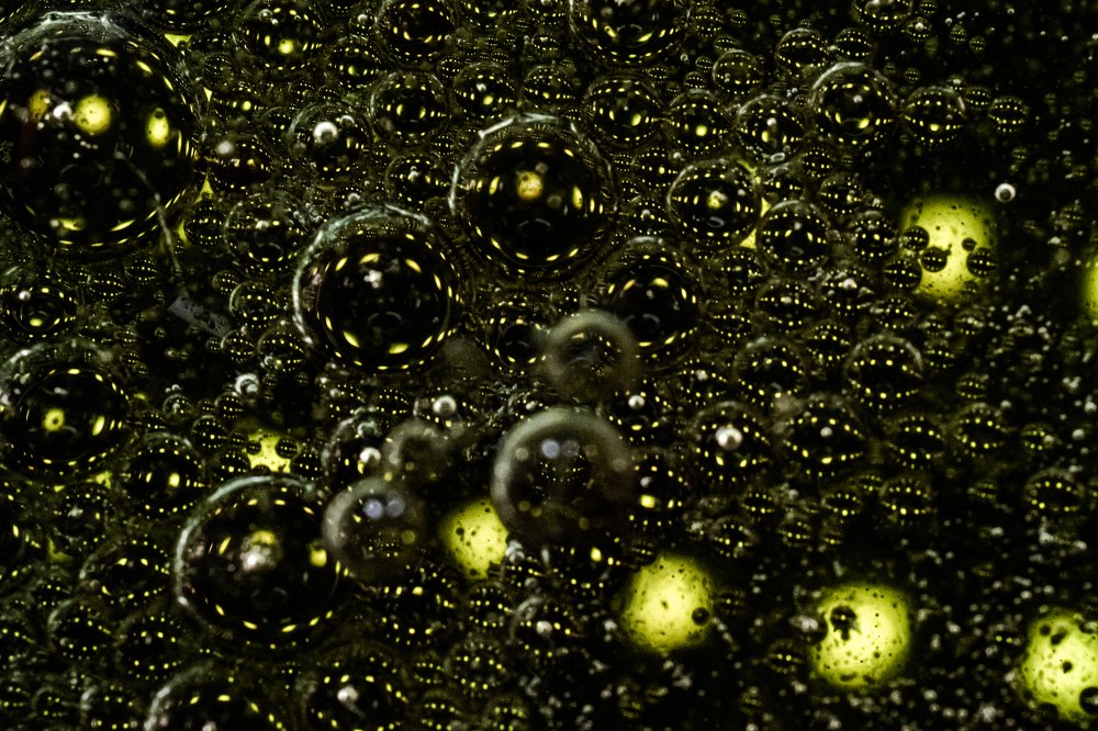 Photograph by Duane Vosika