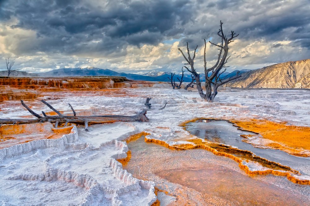 Yellowstone Springs 19144
