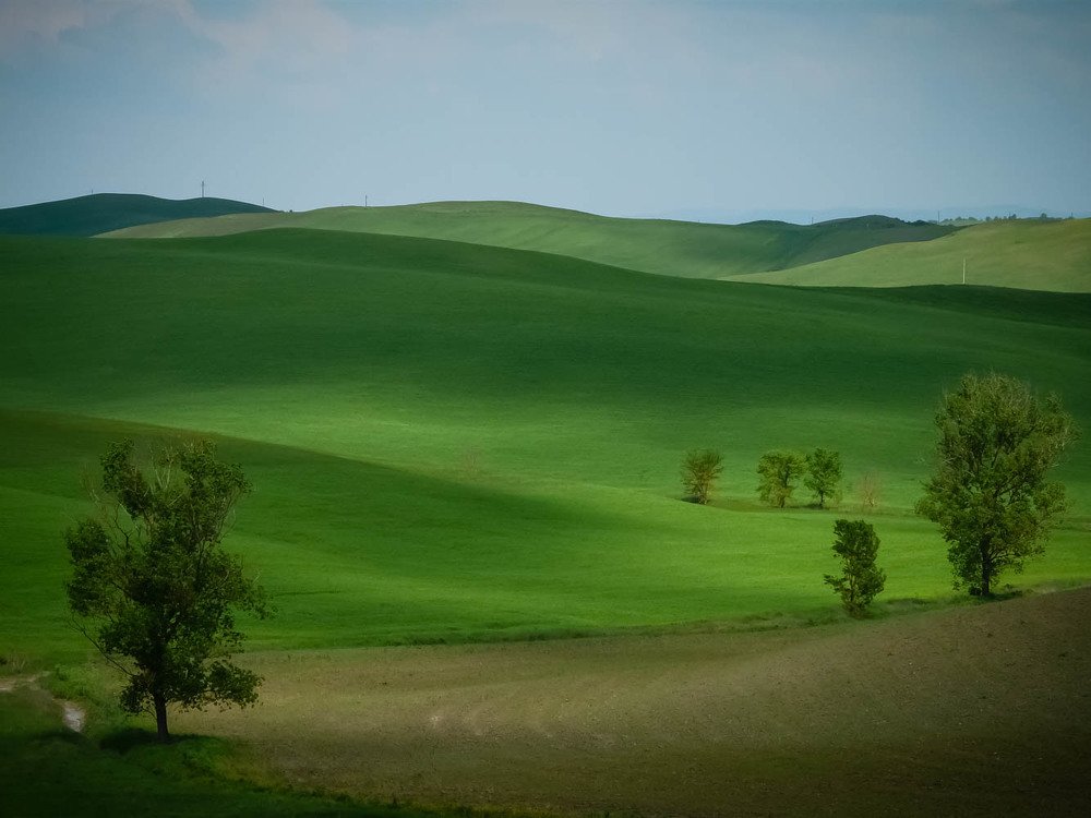Green Lasdscape