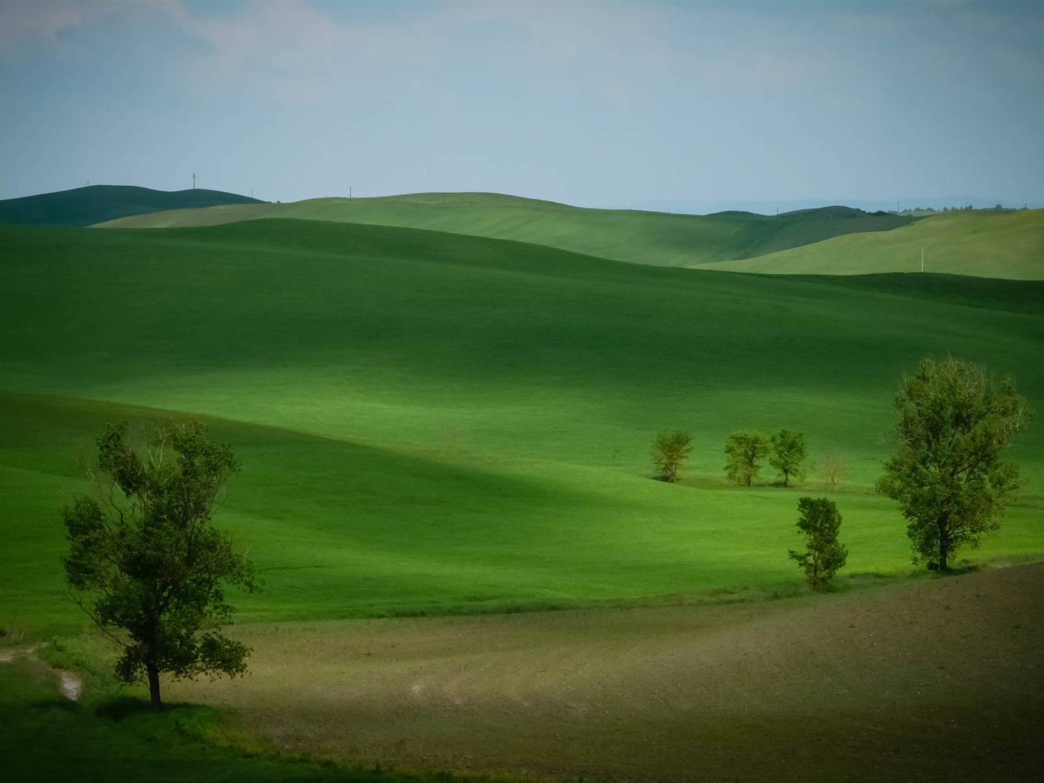 Green Lasdscape