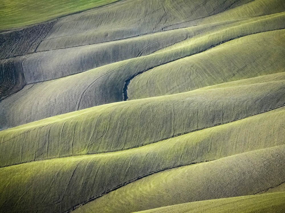 Green Waves